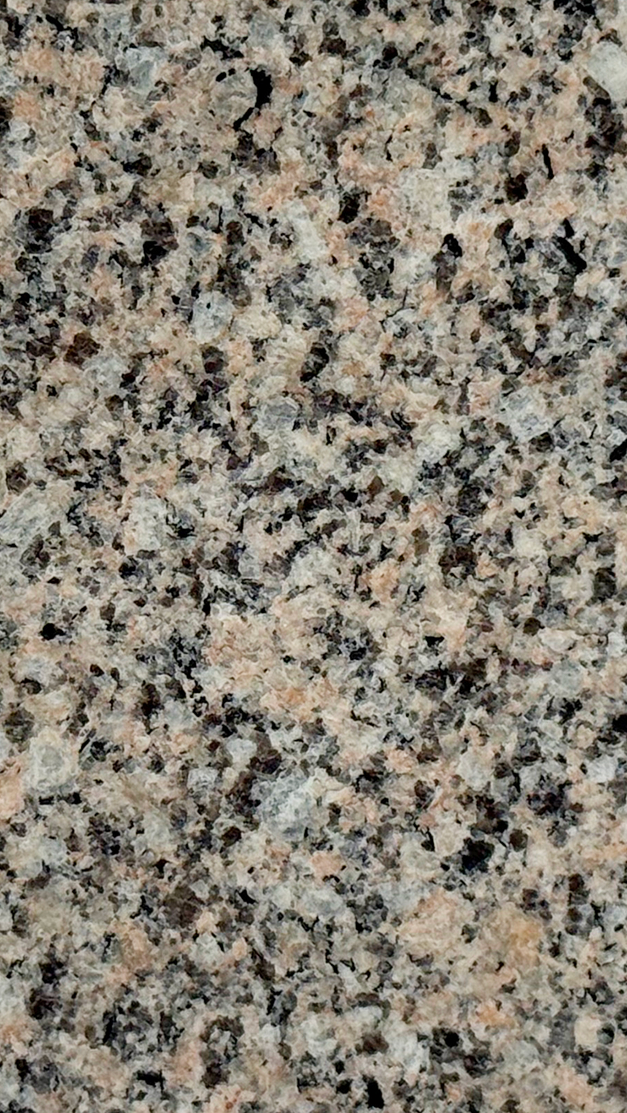 Сосновый бор